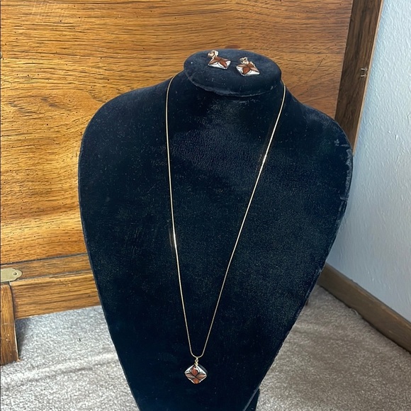 Elegant Gold and Brown Jewelry Set - Picture 1 of 4